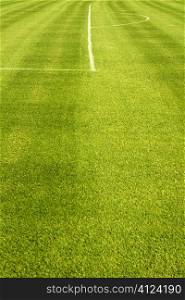 Area white lines on football green grass field