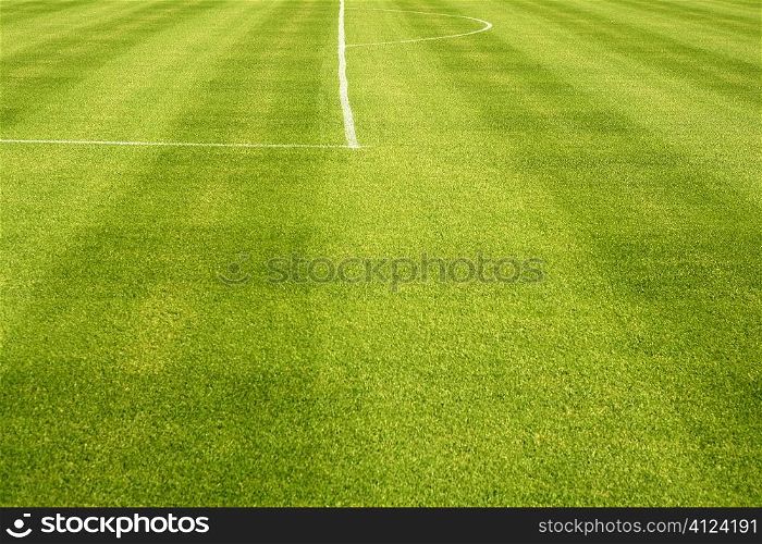 Area white lines on football green grass field