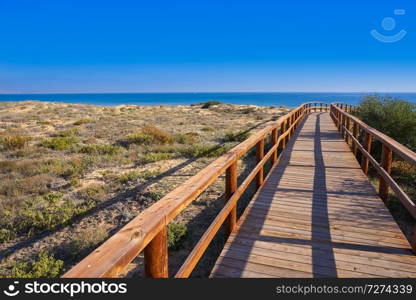 Arenals del Sol Beach dunes in Elche Elx of Alicante in Costa Blanca at Spain