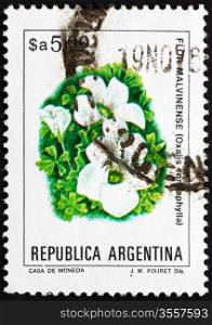 ARGENTINA - CIRCA 1983: a stamp printed in the Argentina shows Scurvy-grass Sorrel, Oxalis Enneaphylla, plant, circa 1983