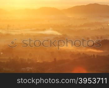 Arial view forest with sunrise