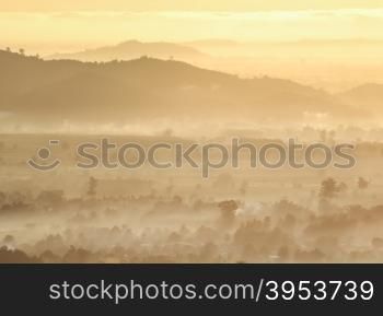 Arial view forest with sunrise