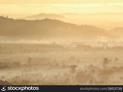 Arial view forest with sunrise