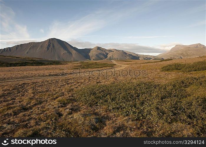 Arid landscape of grasslands and mountains