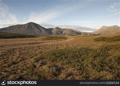 Arid landscape of grasslands and mountains