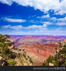 Arizona Grand Canyon National Park Mother Point and Amphitheater USA