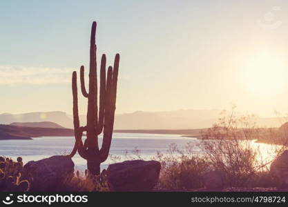 Arizona landscapes,USA