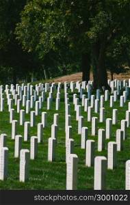 Arlington National Cemetery, Washington DC, USA