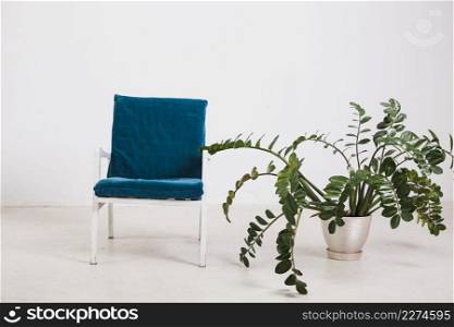 armchair with green plant pot