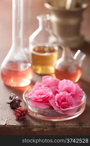 aromatherapy and alchemy with pink flowers