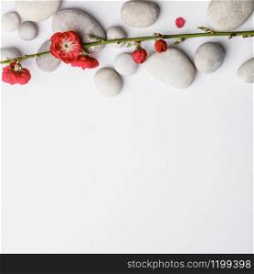 Aromatherapy, beauty, Spa background with grey pebbles and spring flowers, copy space, flat lay