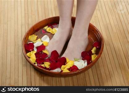 Aromatherapy, flowers woman feet bath, colorful rose petal