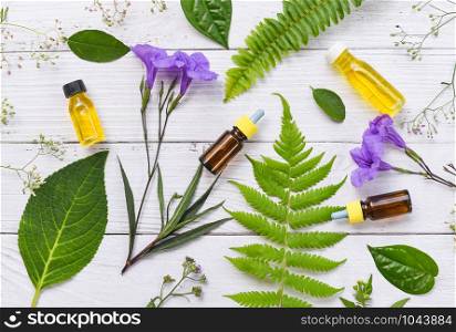 Aromatherapy herbal oil bottles aroma with flower leaves herbal formulations including wildflowers and herbs on wood top view / Essential oils natural on wooden and green leaf organic flat lay