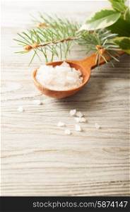 Aromatic bath salt in a wooden spoon and pine branch