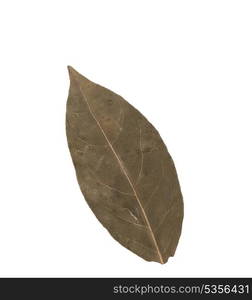 Aromatic bay leaves isolated on white background cutout