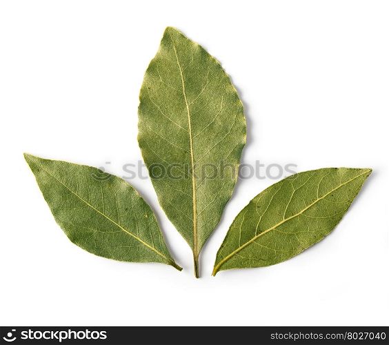 Aromatic bay leaves on white background with clipping path