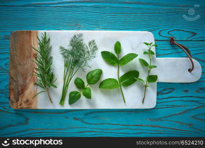 Aromatic herbs culinary plants rosemary fennel oregano mint and basil on turquoise wood. Aromatic herbs culinary plants rosemary fennel