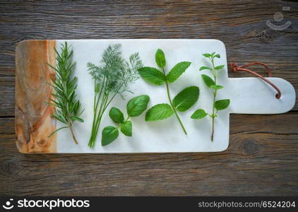 Aromatic herbs culinary plants rosemary fennel oregano mint and basil on wood. Aromatic herbs culinary plants rosemary fennel