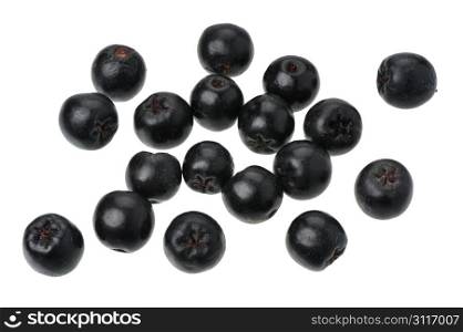 Aronia berries on a white background, isolated