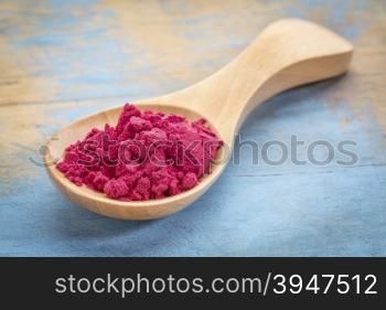 aronia berry powder on a wooden spoon against blue painted grunge wood