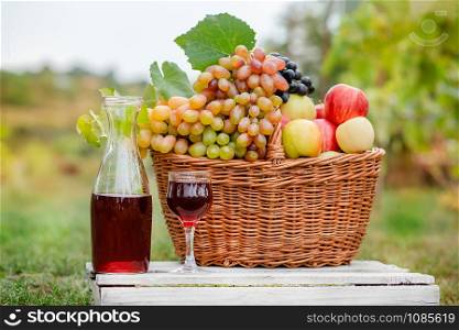 Arrangement in the garden with blue and green grapes, a basket, a glass of red drink and a bottle on the table against the background of the garden. Still life with fruit.. Arrangement in the garden with blue and green grapes, a basket