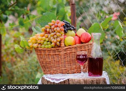 Arrangement in the garden with blue and green grapes, a basket, a glass of red drink and a bottle on the table against the background of the garden. Still life with fruit.. Arrangement in the garden with blue and green grapes, a basket
