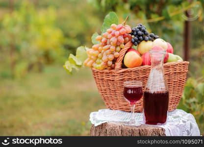 Arrangement in the garden with blue and green grapes, a basket, a glass of red drink and a bottle on the table against the background of the garden. Still life with fruit.. Arrangement in the garden with blue and green grapes, a basket