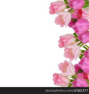 arrangement of fresh pink tulips for frame