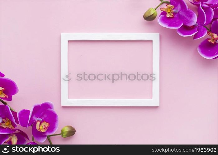 arrangement orchid flowers pink copy space background. High resolution photo. arrangement orchid flowers pink copy space background. High quality photo