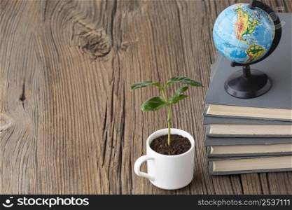 arrangement with books potted plant