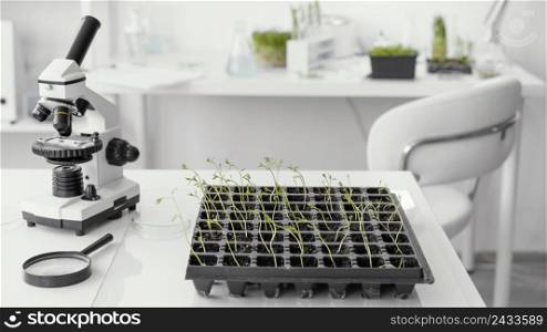 arrangement with plants microscope