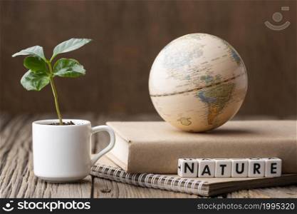 arrangement with world globe plant