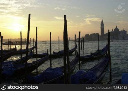 Array of gondolas docked at a canal in Venice, Italy