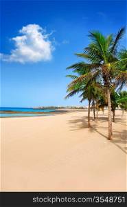 Arrecife Lanzarote Playa Reducto beach tropical palm trees at Canary Islands