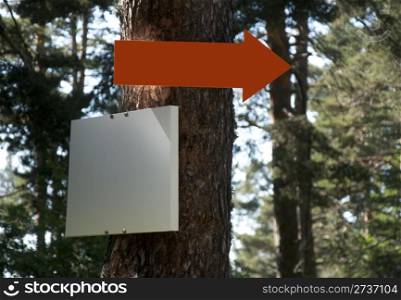 Arrow and sign on tree in forest. Red arrow