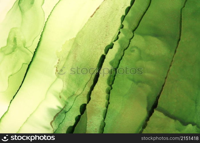 Art Abstract Green painting blots landscape horizontal background. Alcohol ink colors. Marble texture.