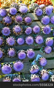 artichoke purple flower background on market