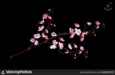 Artificial branch of cherry blossoms with pink flowers, isolated on black background