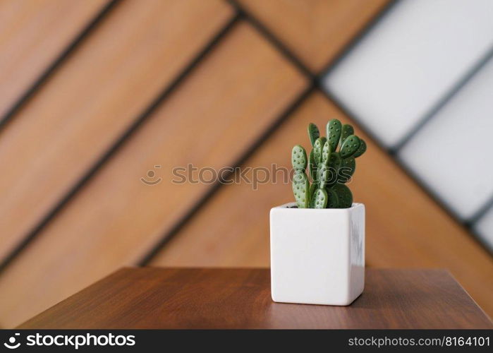 Artificial cactus in a white pot in the decor of the desktop in the office with a copy space