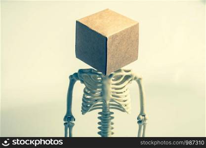 artificial human body model skeleton with a box on his skull