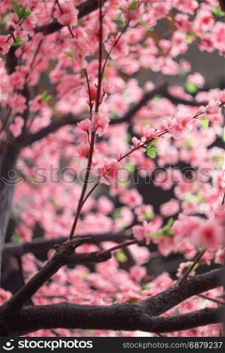 Artificial Sakura flowers or cherry blossoms for decoration with selective focus point