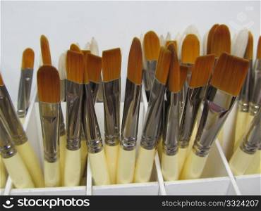 Artistic Painting Brush Display Shelf with Various Size Brushes