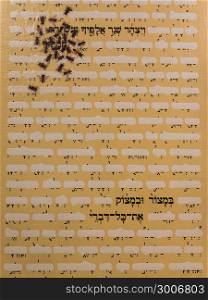 Artwork: Parchment with White Strokes, Words and Bees-. Artwork: Parchment with White Strokes, Words and Bees