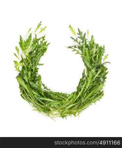 Arugula wreath on white background, top view