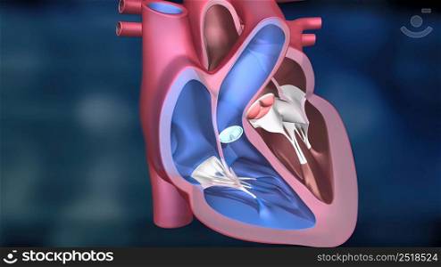 As the heart beats, it pumps blood through a system of blood vessels, called the circulatory system. The vessels are elastic, muscular tubes that carry blood to every part of the body. 3D illustration. Heartwork system. Pumps Blood Through The Human Body