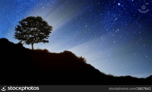 As the world rotates, the stars appear to spin behind the silhouette of a tree on a rocky hill. The stars were all painted in Photoshop. The grass was made using photoshop brushes that came with the software.
