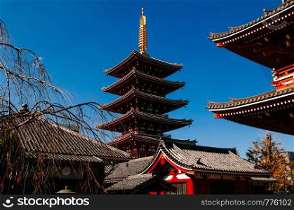 Asakusa Sensoji temple five storey pagoda iconic landmark and Tokyo famous attraction with blue sky, Japan.