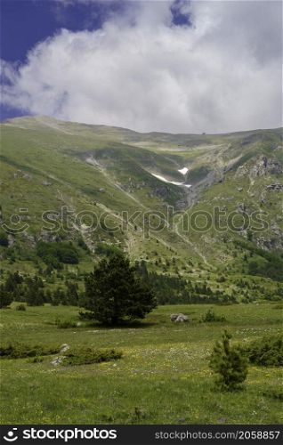 Ascoli Piceno province, Marche, Italy: mountain landscape along the road to Forca di Presta and Piano di Castelluccio di Norcia at June