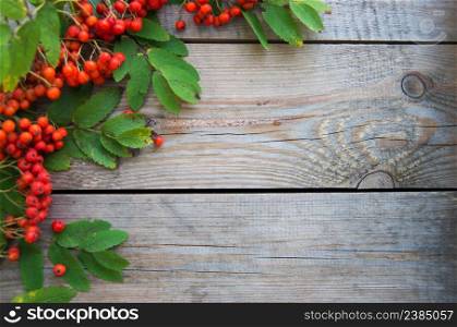 ashberry on wooden background
