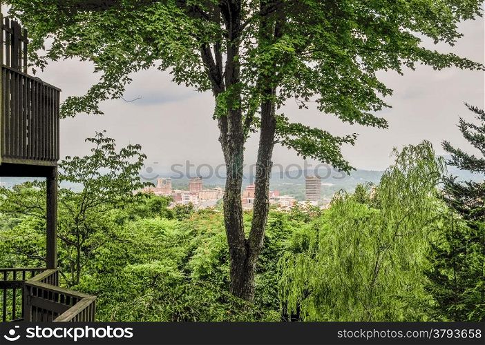 asheville nc skyline through the trees